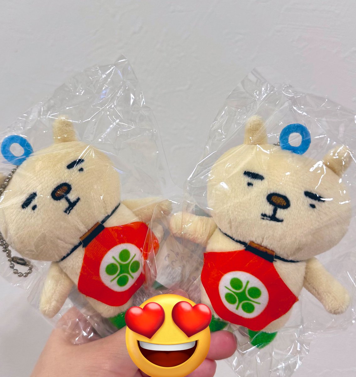 たろうマスコット届いた〜☺️
かわいい〜〜〜☺️
みんな奥州市をよろしくな〜〜〜〜！！！