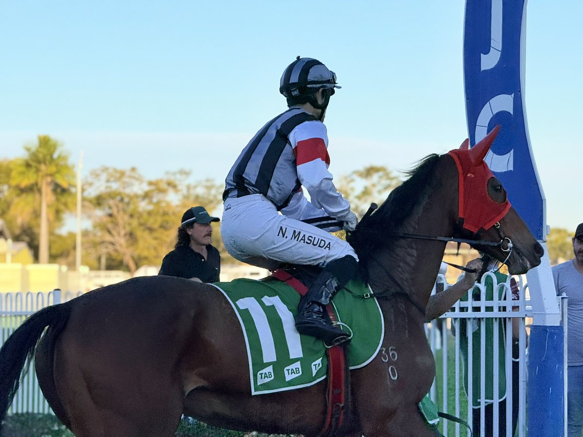 タラレバは言いたくないけど、道中の不利がなければ勝っていたと言ってもいい内容。あの脚を見たら、トゥルーが完全復活したのは明らかです。次に狙うのはもっと大きな舞台🔥
#トゥルーフェアリー🧚‍♀️ #ジャパノズ厩舎 #リアルスティール産駒 #G1出走馬 #強いトゥルーが帰って来た #オーストラリア競馬