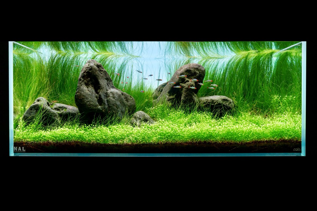 八海石No.5　No.2なかつページ 000000001881_BlNG6eM.jpg