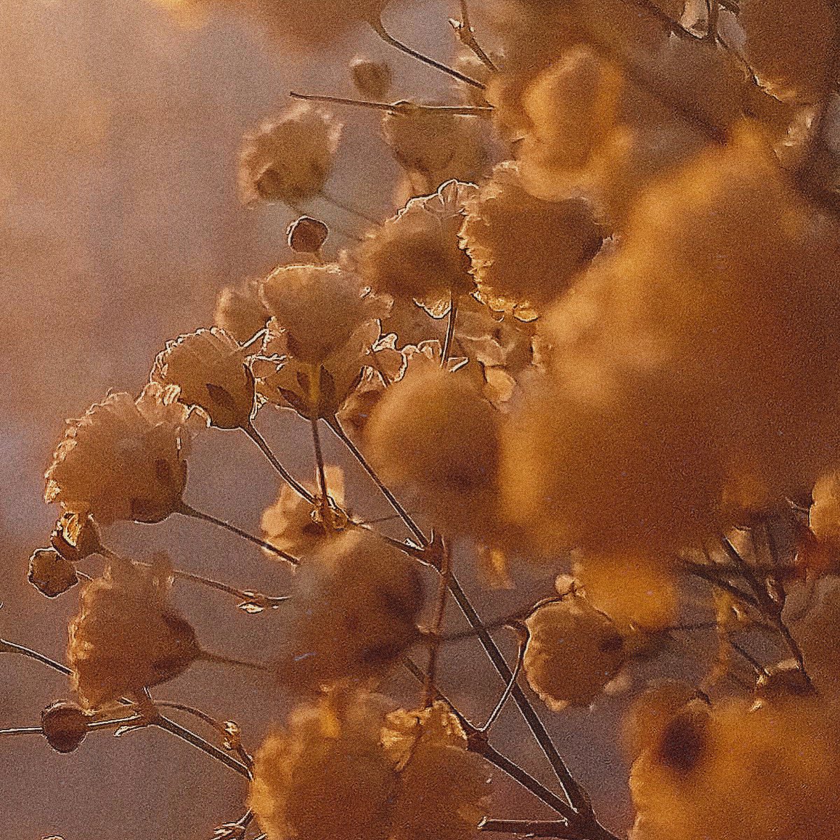 ⠀

                       • 𝓢𝒆𝒅𝒖𝒄𝒕𝒊𝒗𝒆 𝓢𝒖𝒏𝒅𝒂𝒚 Ϙ 𐊭 ϙ
                                          ⸻

⠀