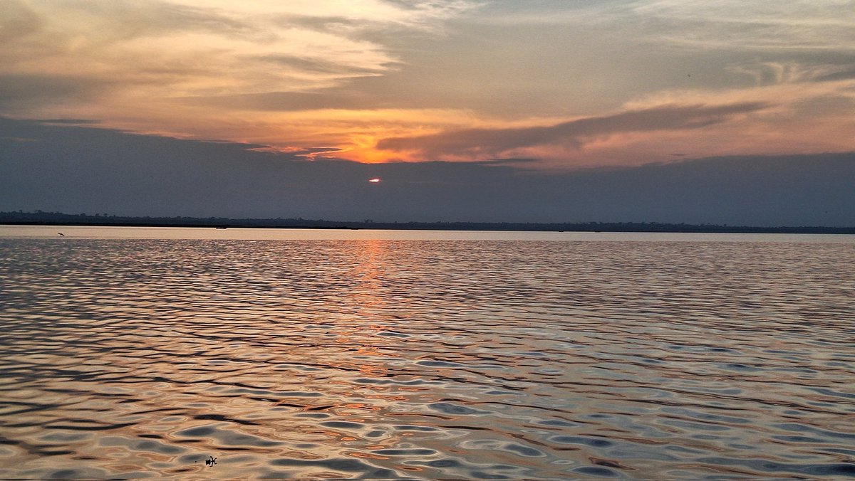 Nsubuga Najib Ssekikubo (@najibssekikubo) on Twitter photo 📍Lake Victoria Sunsets from Bugoma Luku Port to Bukakata Port!
#VisitSseseIslands #TourBuganda #ExploreUganda
<a href="/TourBugandaUG/">Buganda Heritage and Tourism Board (BHTB)</a> <a href="/TourismBoardUg/">Uganda Tourism Board</a> <a href="/MTWAUganda/">Ministry of Tourism-Uganda</a> <a href="/JulzKagwa/">Juliana Kagwa</a> <a href="/mugarra/">Hon.Bahinduka Mugarra Martin</a> 📍Lake Victoria Sunsets from Bugoma Luku Port to Bukakata Port!
#VisitSseseIslands #TourBuganda #ExploreUganda
<a href="/TourBugandaUG/">Buganda Heritage and Tourism Board (BHTB)</a> <a href="/TourismBoardUg/">Uganda Tourism Board</a> <a href="/MTWAUganda/">Ministry of Tourism-Uganda</a> <a href="/JulzKagwa/">Juliana Kagwa</a> <a href="/mugarra/">Hon.Bahinduka Mugarra Martin</a>