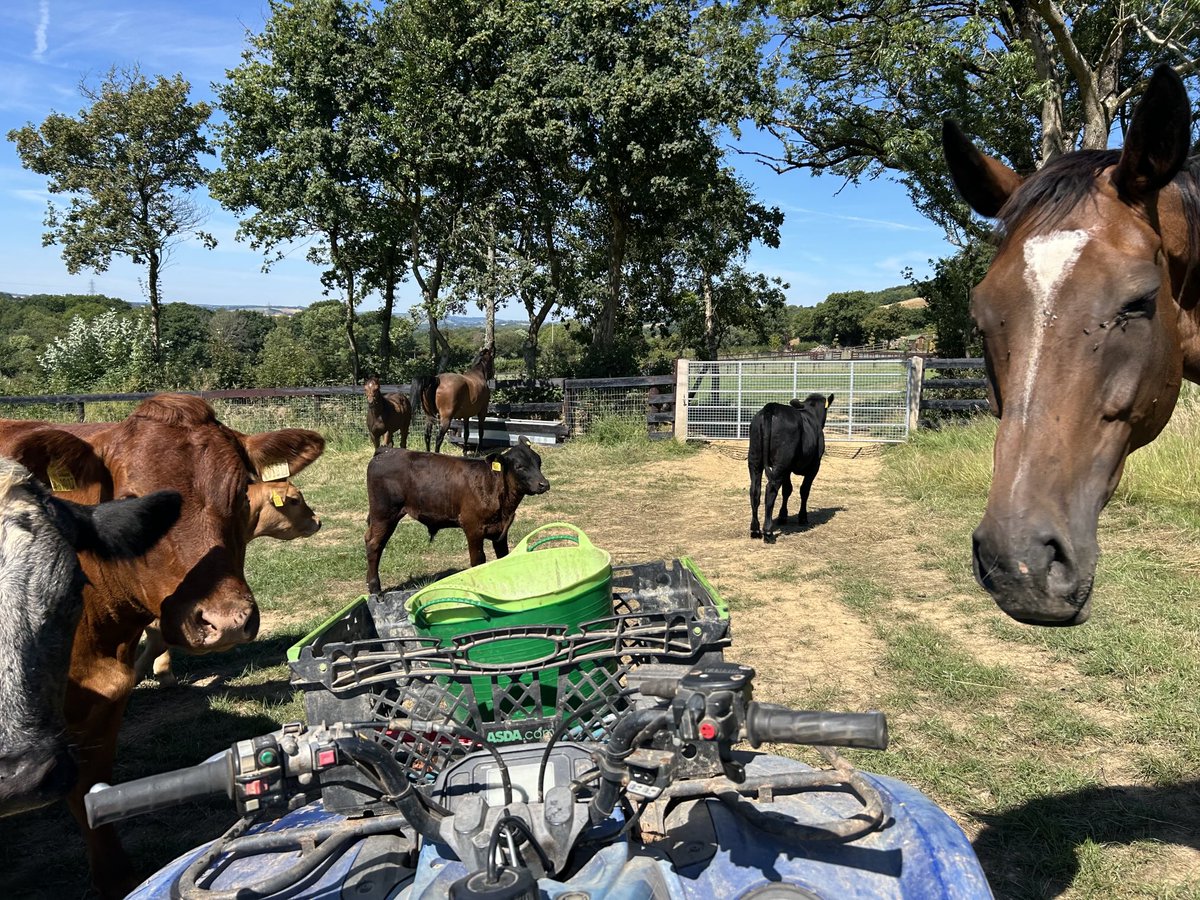 Back to the day job 🙏🏻☘️😎🤠