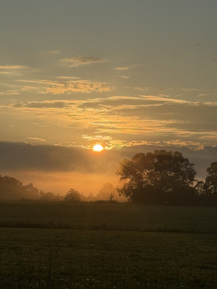 Suns coming out from behind the clouds