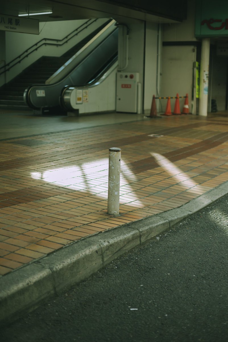 photo_shuhei's tweet image. 今朝は4時に起きれたので、チーズとバナナを食べて慌てて写真を撮りに。
デジタルと中判をリュックに詰めて。
nikon z5
ai af nikkor 50mm f1.4d