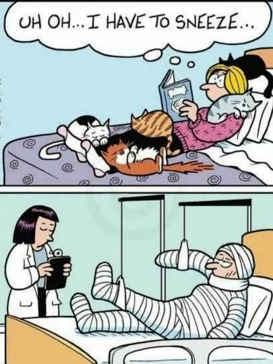It's time for Pinky and Olly's corny jokes Sunday BOGOF.

A big thank you to our friend Junior for sending this one to us.
Pinky and Olly will be back tomorrow. 

#RIPJanet 💜💜💜
#PinkyAndOlly 

❤️❤️❤️🌽🌽🌽❤️❤️❤️