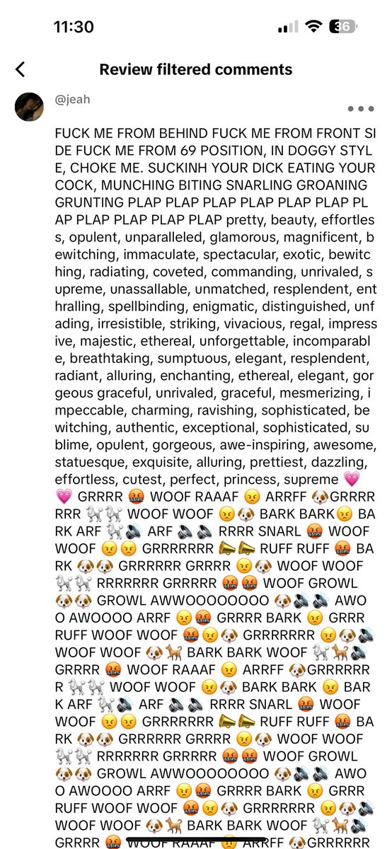 all this for sylus? i get it and respect it.