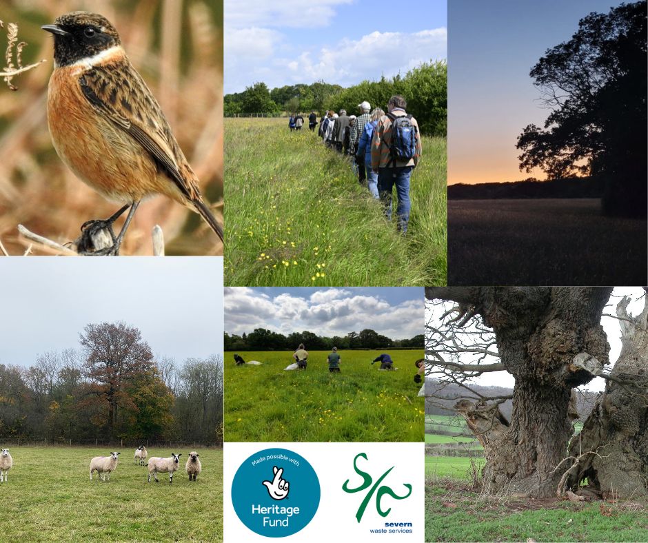 It's now been six years since we first set eyes on #GreenFarm, but the wildlife restoration efforts there are now well underway.

In our latest #Monkwood Musings blog, our reserves officer Dom takes a look back at the successful work that has taken place 👇