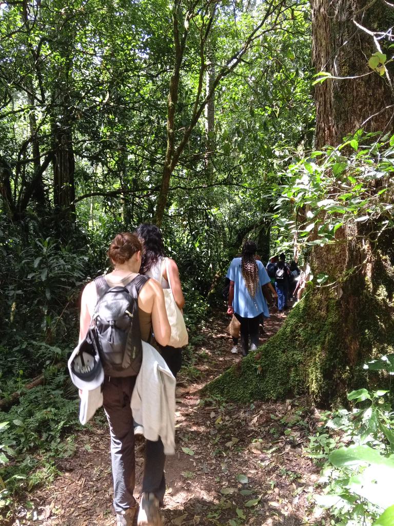 Adv_Ecotripske's tweet photo. The rainforest is alive, unpredictable, and beautiful. Guides read the forest like a map, they protect, educate, and elevate the experience.

Whether you're solo, in a group, or with kids, always go with a guide. Always pay them right. Their presence keeps the adventure safe. https://t.co/U5x1iZSRGb