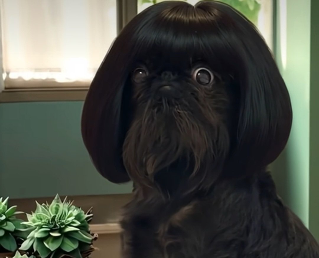 TinyRockandRoll's tweet image. Cuando veo el pelo que me ha cortado la peluquera.