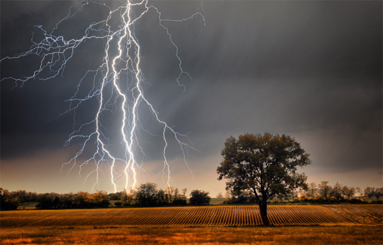 মাদারীপুরে বজ্রপাতে তরুণের মৃত্যু, পরিবারে শোকের ছায়া