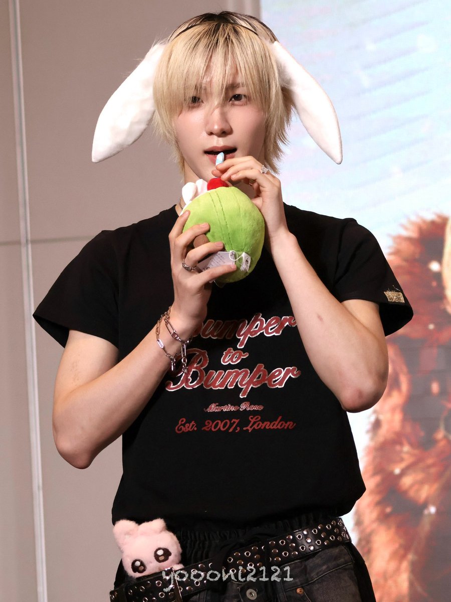 공기 강아지 tweet media