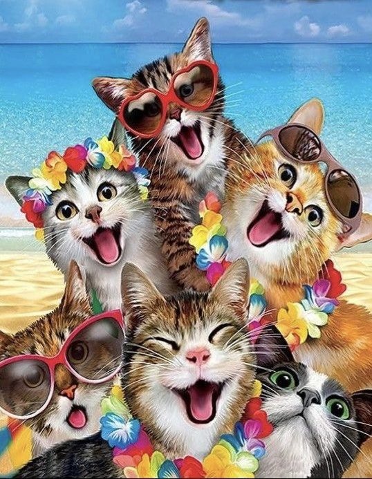 <a href="/Zegdie/">⧼D̼⧽⧼i̼⧽⧼a̼⧽⧼n̼⧽⧼e̼⧽ 🐈‍⬛</a> <a href="/PaulMer53/">PAULWALES LIVE LOVE LAUGH GUNS N ROSES 🌹</a> <a href="/FrankKane11/">Kane's Street Smarts</a> <a href="/bdonesem/">💞 𝔀𝓱𝓲𝓼𝓹𝓮𝓻 💞 ( ‏𝓐𝓵 ) 😘</a> <a href="/whale20564/">Miss M</a> <a href="/smontijo02/">PixelPusher</a> <a href="/IndyMagz/">@IndyMagz ♦KAG🇺🇸🇺🇸🇺🇸🇺🇸🇺🇸🇺🇸🇺🇸🇺🇸</a> <a href="/Bagel69er/">🇺🇸🇺🇸🇺🇸Bagel Colorado❤️🤍💙</a> <a href="/McQuade1966/">McQuade</a> <a href="/GilbertWanda/">Wanda Gilbert🔥</a> <a href="/operater404/">𝕮𝖆𝖙 𝕸𝖊𝖒𝖊 𝕶𝖎𝖓𝖌</a> <a href="/JackMedia7/">AMERICANDREAM09 🇺🇸 Jack Media ~DREAM</a> <a href="/Atp1958Tony/">Tony Pozzy OU812</a> <a href="/BluehandRising/">OO7 🌐 ̿̿ ̿'̿'\̵͇̿̿\з=( ͡◕ʖ ͡◕)=ε/̵͇̿̿/'̿'̿ ̿</a> <a href="/_AmaraL577/">@_AmaraL577</a> <a href="/satansradio666/">MAGA ROCK GAINS</a> <a href="/AlbertaBadAss/">🅰️🅱️🅱️🅰️</a> <a href="/ricphy2/">ricphy</a> <a href="/DeletedXpletive/">Deleted_Xpletive</a> Good morning my sweet friend....wonder where I stole this🤭🤣🤣🤣