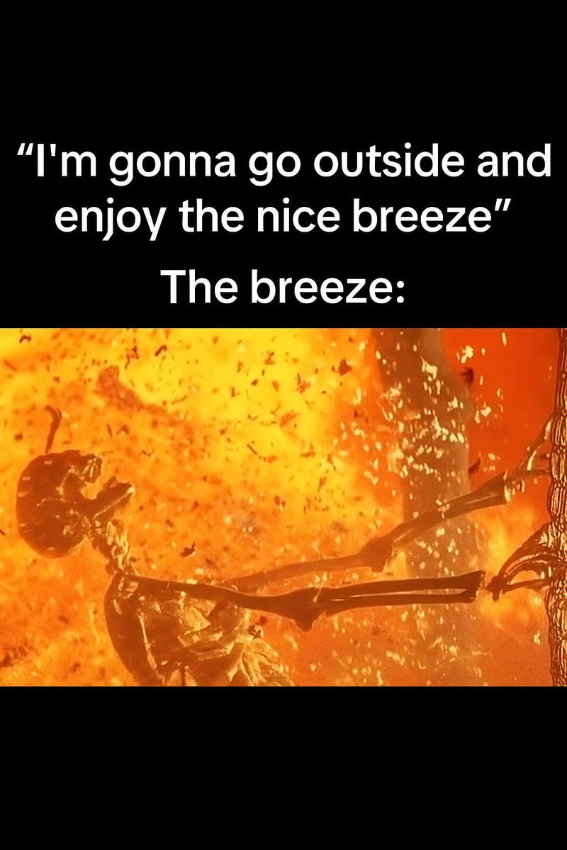 Summer in the South is brutal! 🔥
