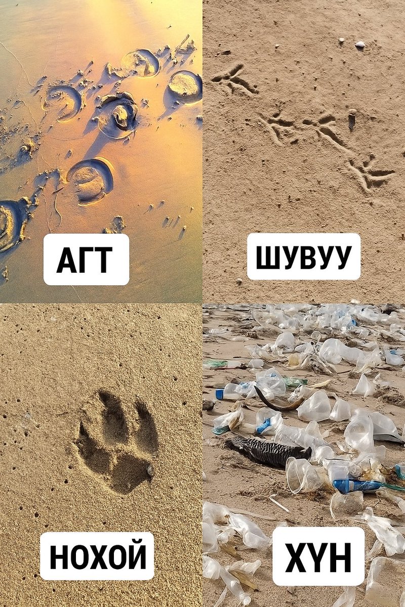 Хог хаягдлаа төвлөрсөн хогийн цэг хүртэл тээвэрлэн авч явж хэвшицгээе! 🚮