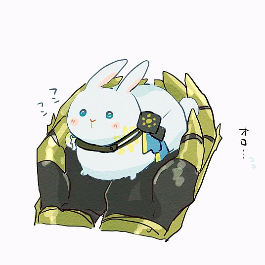 🐇