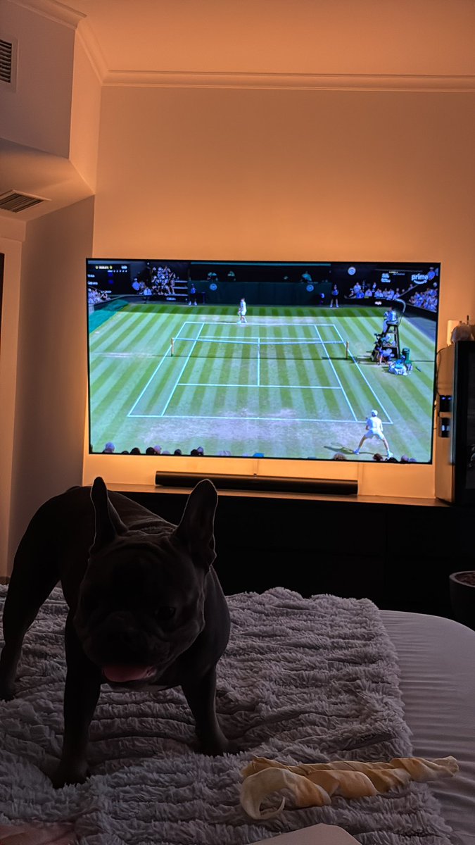 OmaimaFagier369's tweet image. the joy starts …  🎾 
#Wimbledon