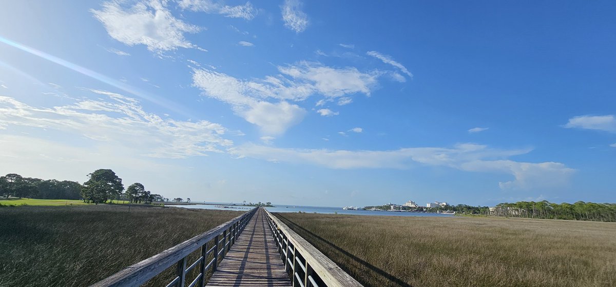 I'm a simple man. I see this, and I am automatically at peace.