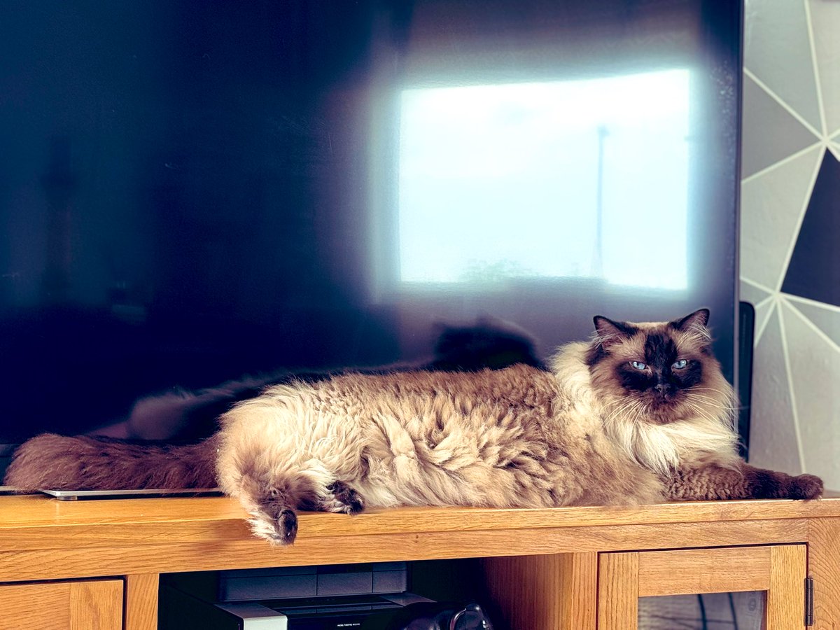 Moses had enough outside today.