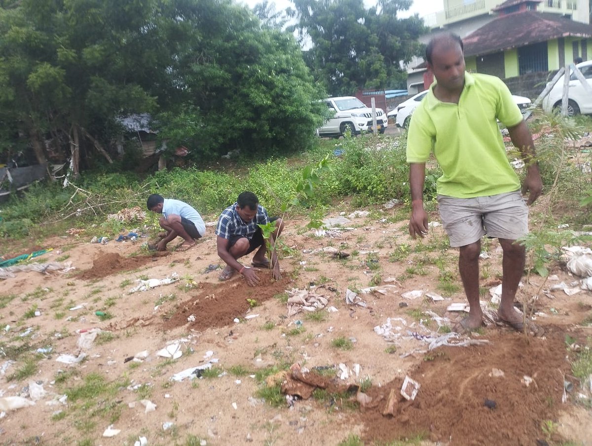 Green patch creation by Ecosavers youth network members along with community members at Balianta block Khordha to protect the environment and next generation #pecuc35years #highlightseveryonefollowers2025 #environment #environmentprotection #savealife
