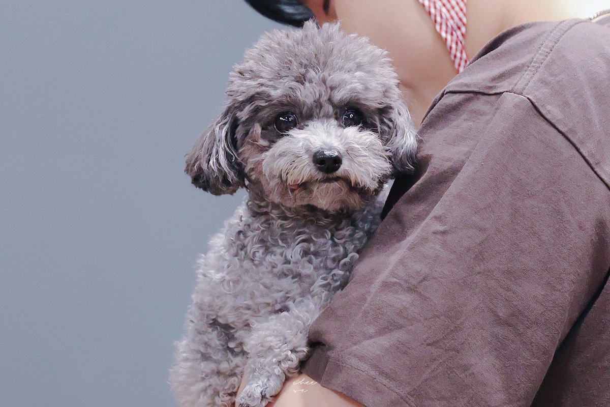 #레이 #XODIAC 앙❤️‍🔥