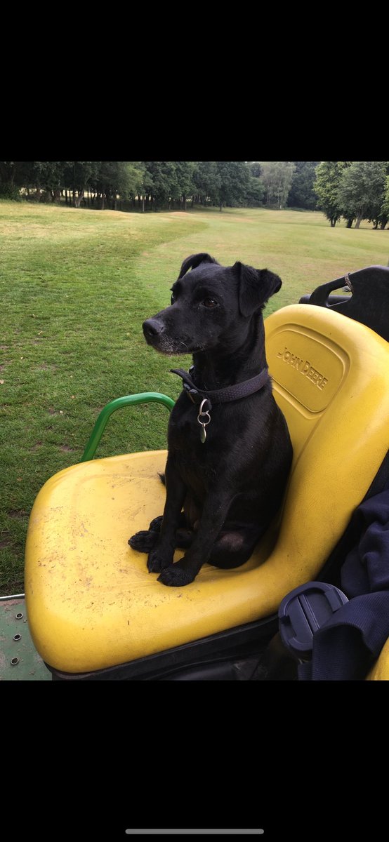 sam wardill tweet media