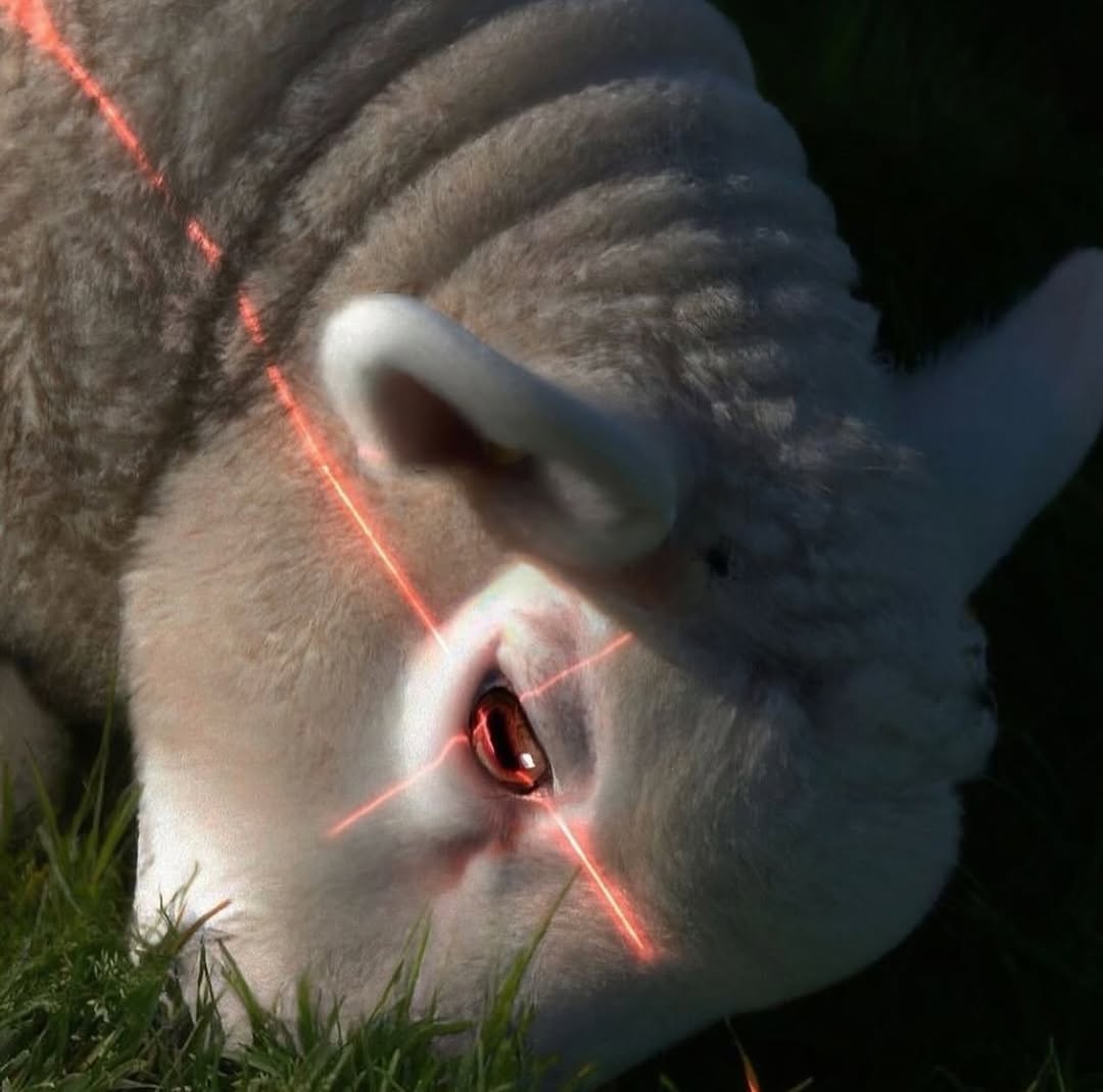 The goat is back at it with the vision, aiming at MegaETH mainnet like it could be tomorrow.

Probably nothing.
