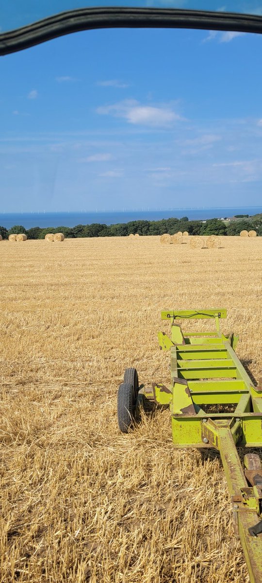 Started on some Tardis winter barley this afternoon 🔥🌞🏴󠁧󠁢󠁷󠁬󠁳󠁿