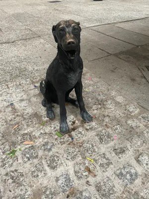 El primer influencer de España fue un perro.

Y no es broma.

Se codeaba con escritores, iba al teatro, salía en la prensa, tenía butaca fija en los toros y lo mató un torero porque no soportaba sus críticas.

Esta es la historia real del Perro Paco
🧵⤵️