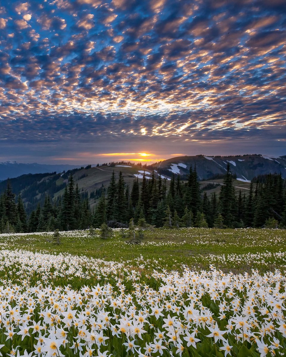 Mountain sunset 🌄