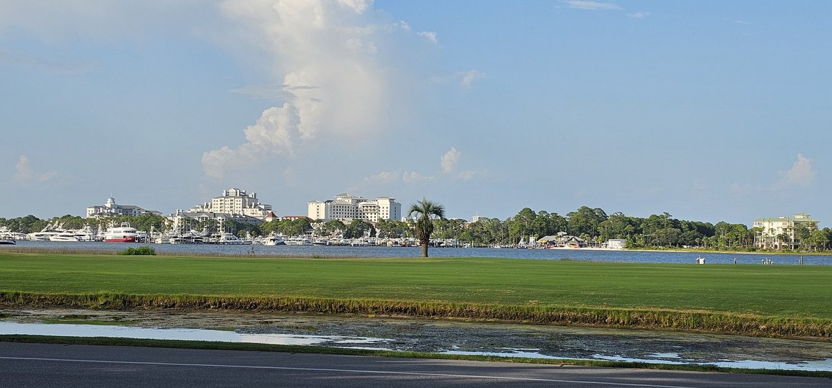 I'm just manifesting this right here while I'm breaking generational curses. I will be successful, and my kids will be better than me. 💪💯