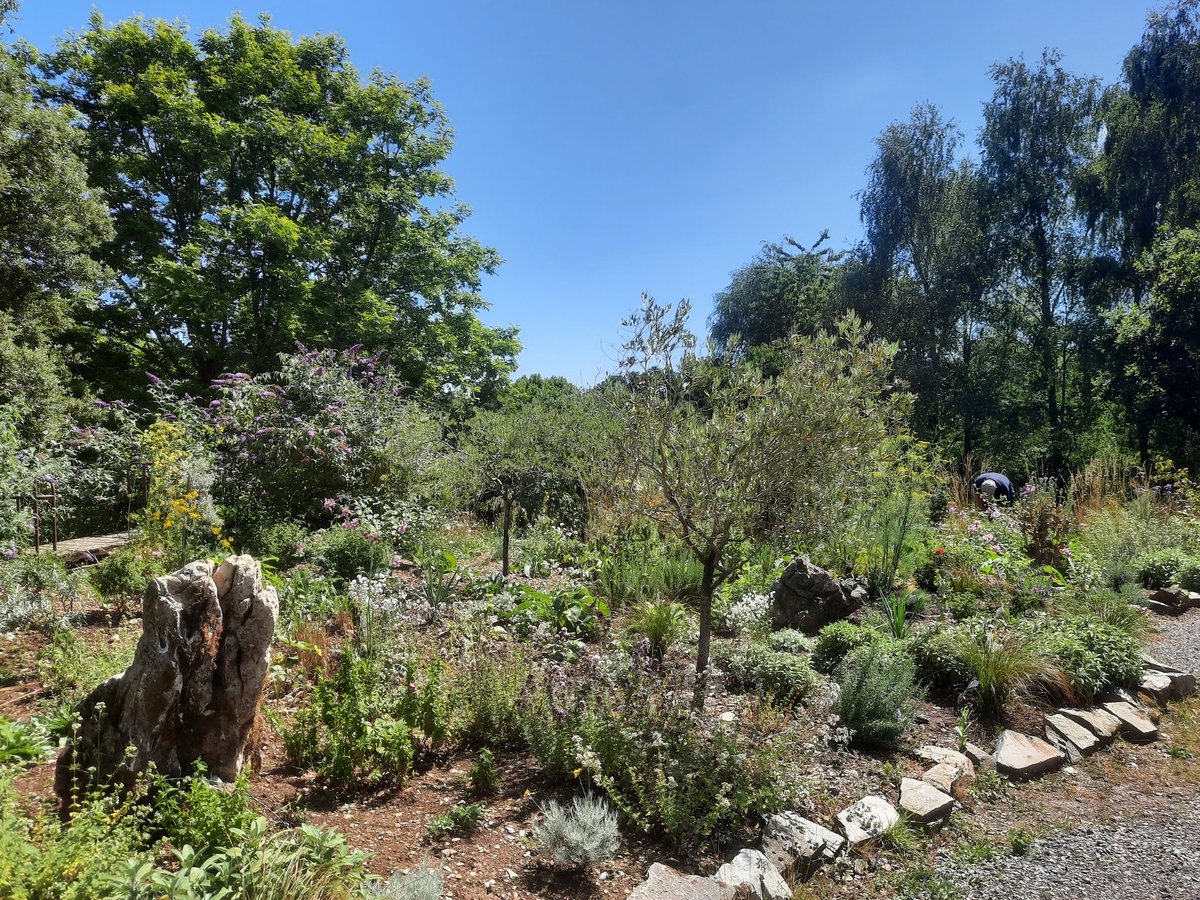 The first phase of the #herb #garden <a href="/DartingtonTrust/">Dartington Trust</a> #danpearson #masterplan