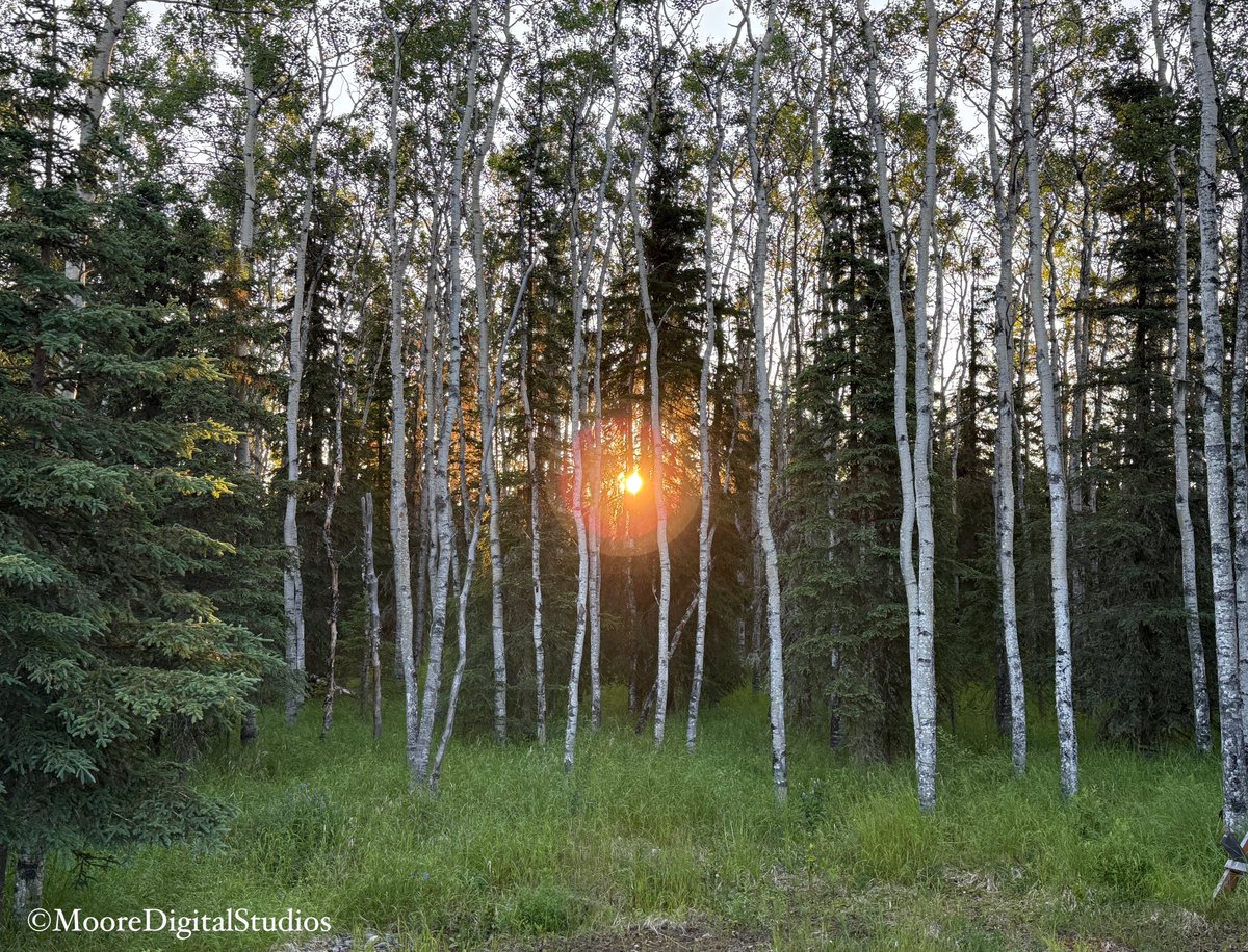 GM! For #SundaySharing please share or QP your favorite #PhotoOfTheWeek.  📸