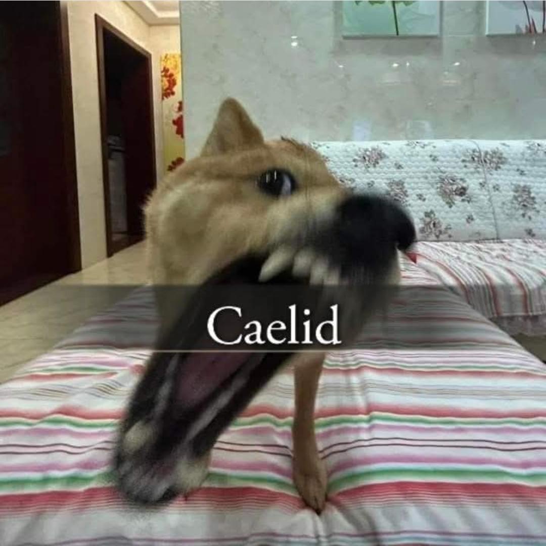 VideoArtGame's tweet image. 