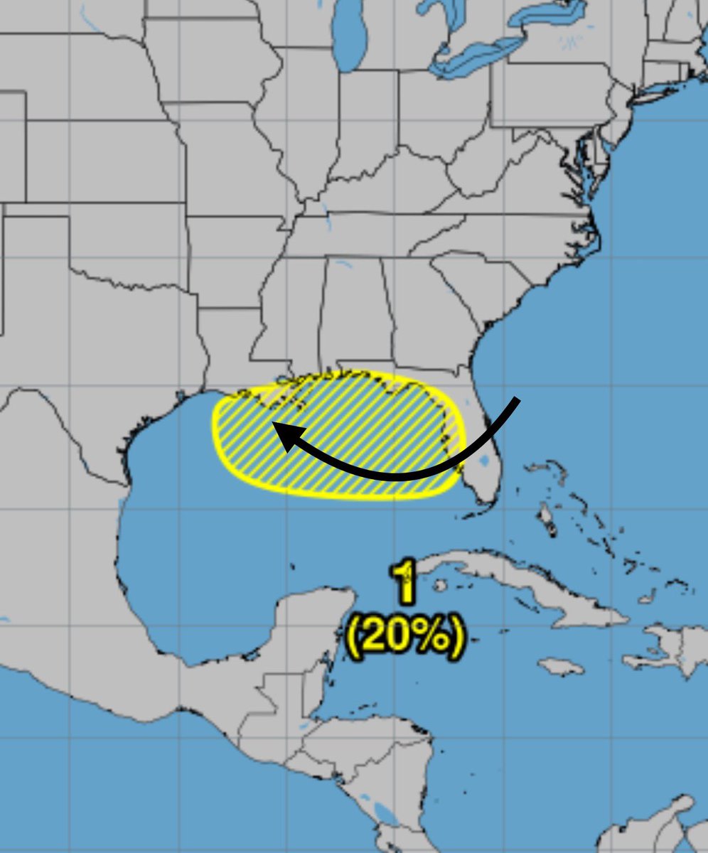 FerragamoWx's tweet image. A TC moving due west across the Northern Gulf is uncommon, but not unheard of — other notable examples being BARRY 2019 and FERN 1971.
Watching this 20% as it crosses FL and moves over the Gulf. Models hint at a brief spin-up.