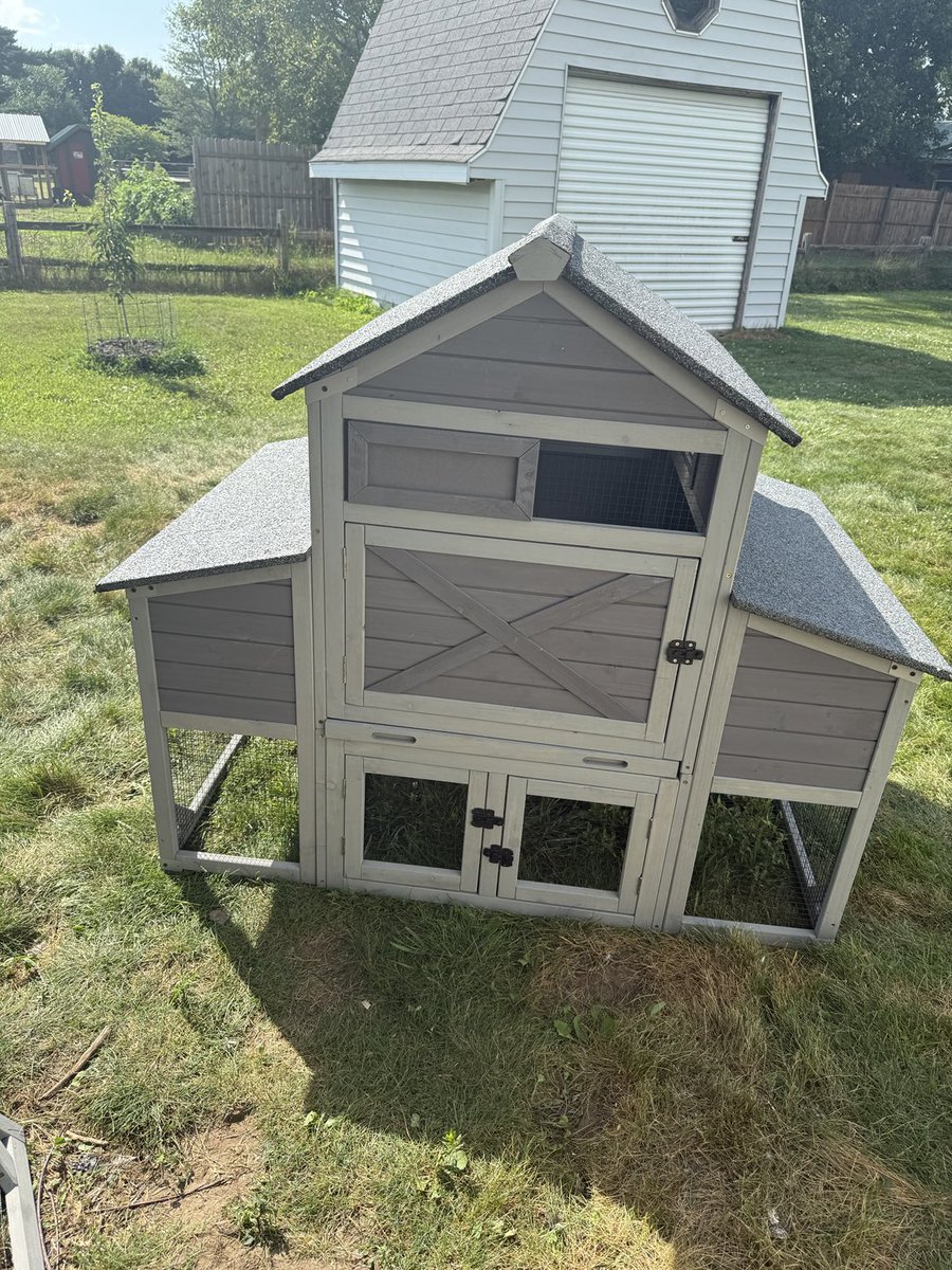 Building a new chicken coop for my ever expanding flock