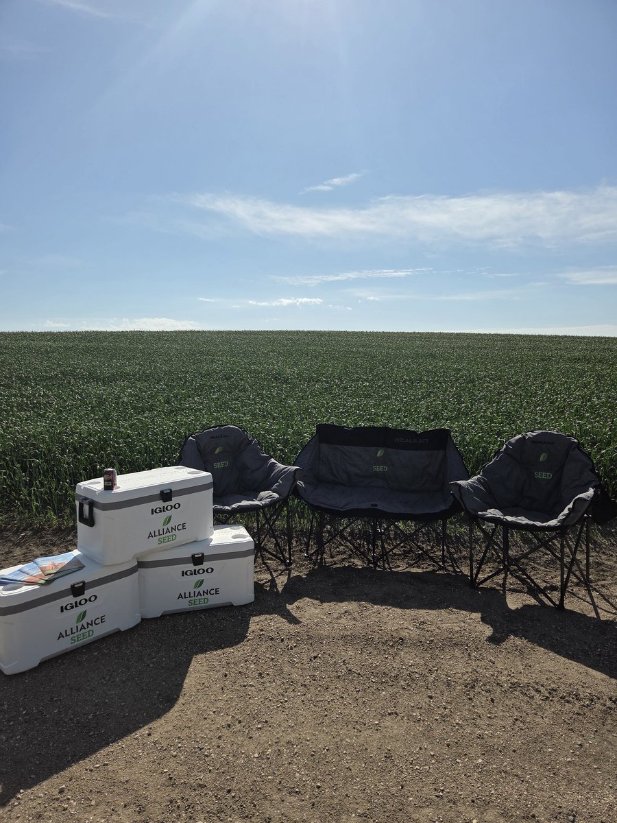AllianceSeed's tweet image. Come visit us at #AgInMotion25 this week July.15th-17th!!! We have stellar plots, great prizes and we are serving locally made smokies everyday!!! #Allianceseed