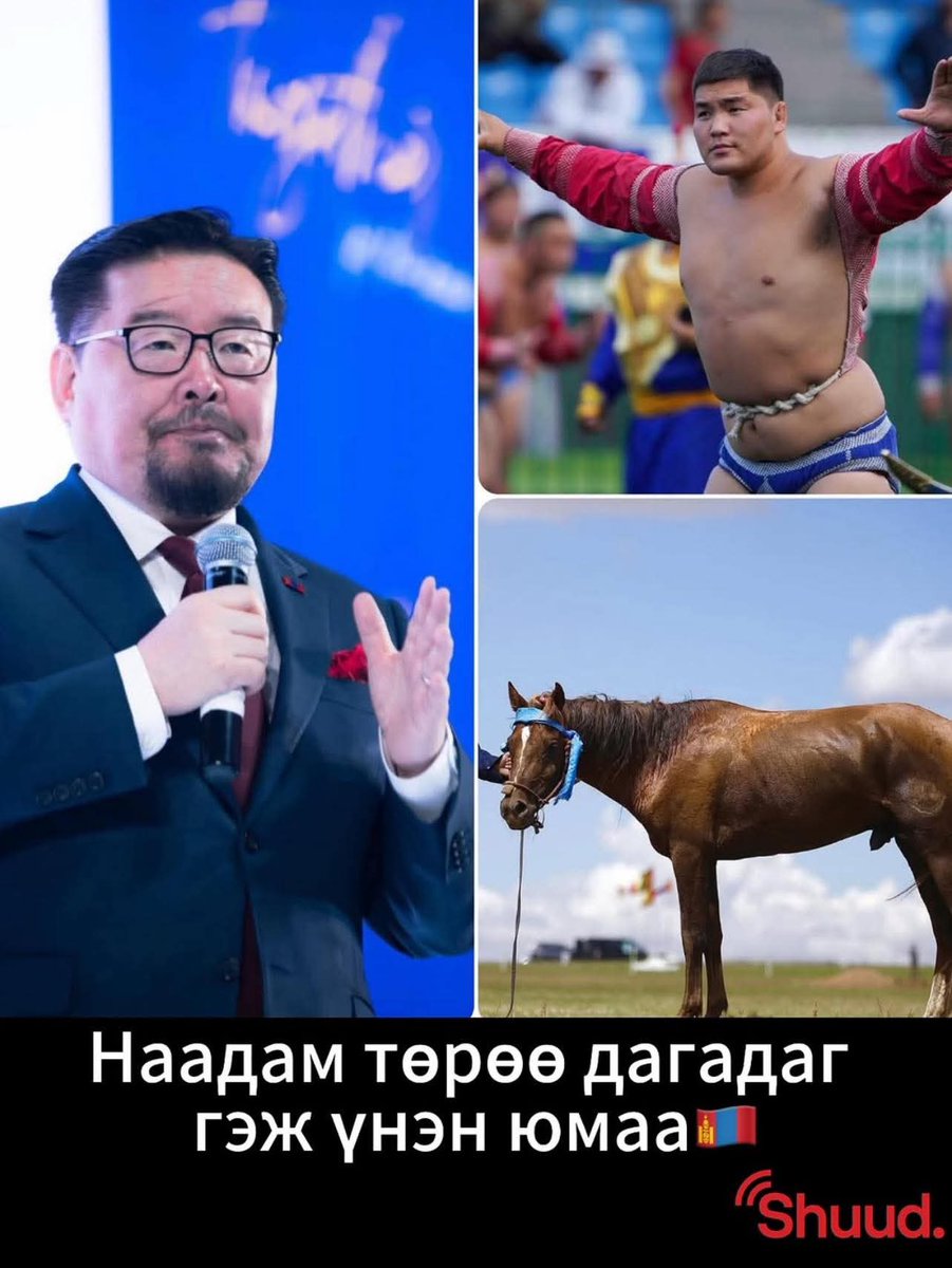 Бөх төрөө дагадаг гэж их эртний үг юм билээ
13-р зууны үеийн бөх Бэлгүтэйгээс эхлээд
18-р зууны Алдарт Намхай, Лувсанжамбаа аварга
20-р зууны Манлай аварга Баянмөнх гээд бүгд л төрөө дагасан алдартнууд
Батмагнай хүүг Монголчууд сайн цагийн бэлгэдэл гэж хүлээж ава
Бөхийн шинэ үе!