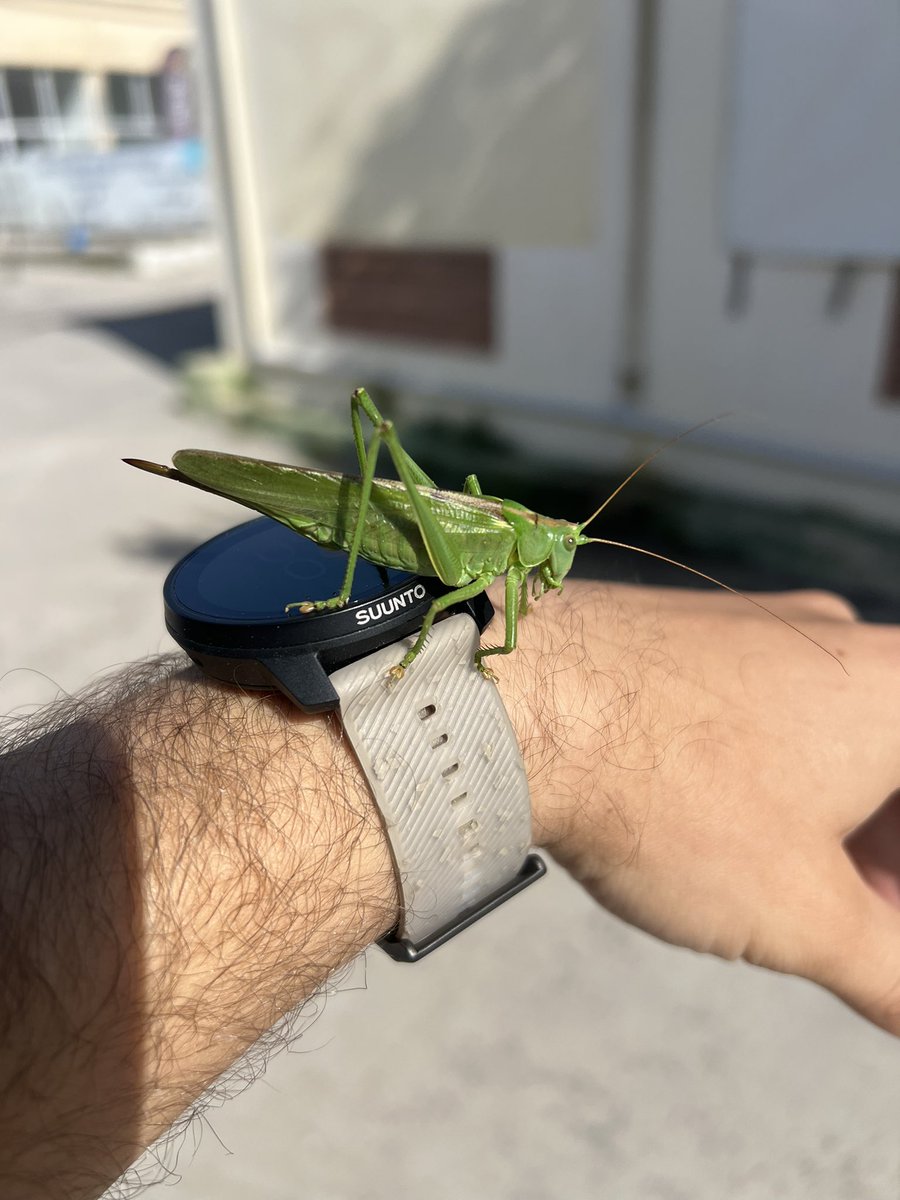 AGHD.btc 🍌 tweet media