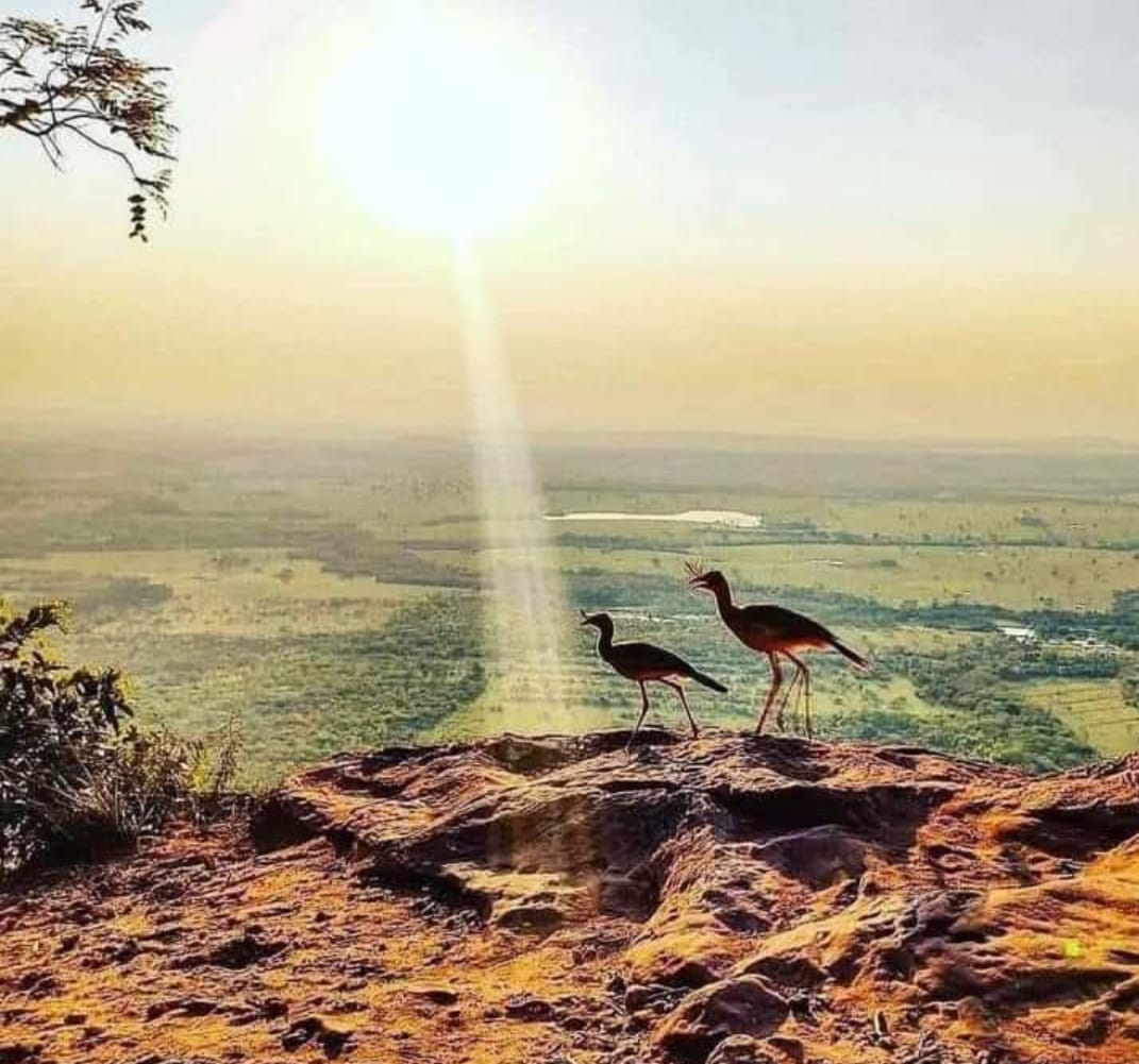 .....Morro do Paxixi!
.....Mato Grosso do Sul!!!

...imagem da Maritssa Rejane!!