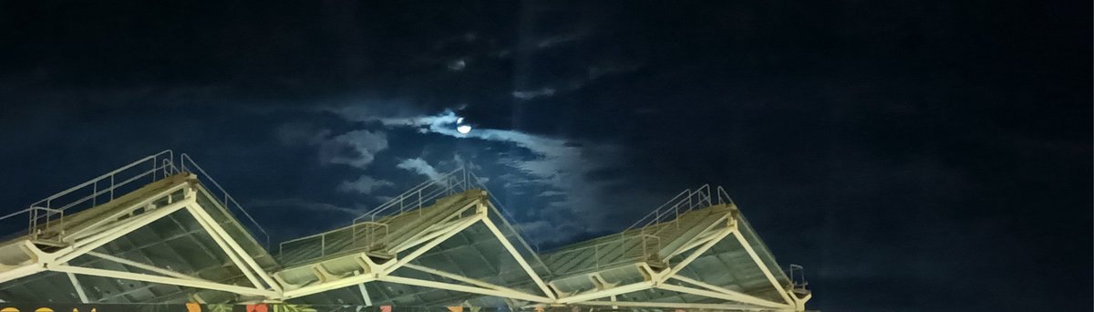 eblowinthewind's tweet image. Noches agridulces, de lunas intermitentes, de 🎶 "Instinto y dignidad y en el medio ando yo", de 🎶 "No sería lo mismo imaginarte", y de que te echen agua con una botella...