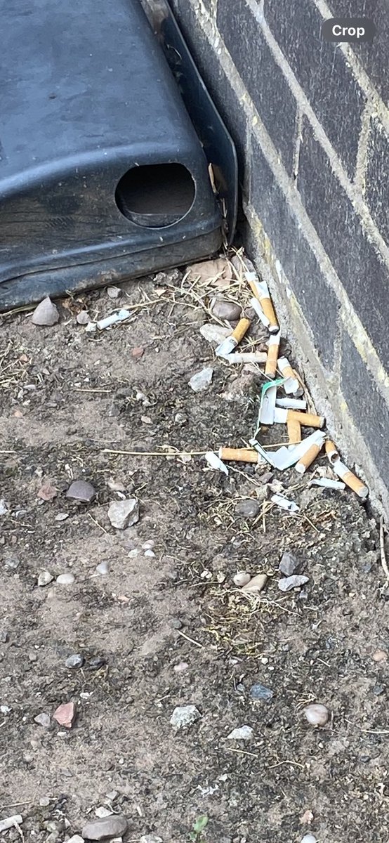 You know it’s bad when even the Rats have taken up smoking 😕