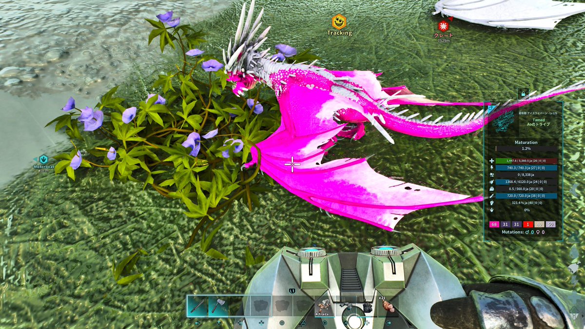 アイスのカラーはr0.4.5で胴胸頭だけど配色次第で翼にグラデーションがかかるってコメを見て多分r5(頭)の色が反映されてそうですね🤔
68×79だと出なかったけど68×50ならグラデーションかかってるのでこのパターンで色を探して合わせるのも面白いかもですね😊