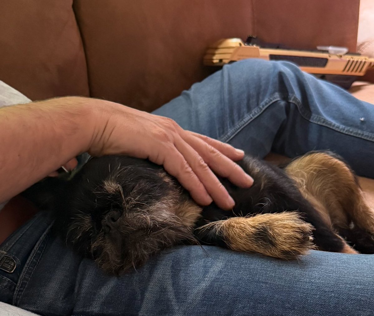 Liefde is..je man zien met de hond die ie nooit wilde, en hoe ie zegt “Ik ben even de tank van *zoon* volgooien en zijn olie bijvullen” als de zoon zelf op zijn bijbaantje is 🥰🥰🥰