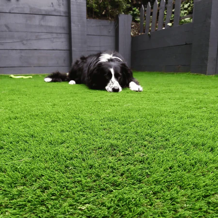 dorisho90's tweet photo. #openseatouchgrass https://t.co/BzeKCe5PUt