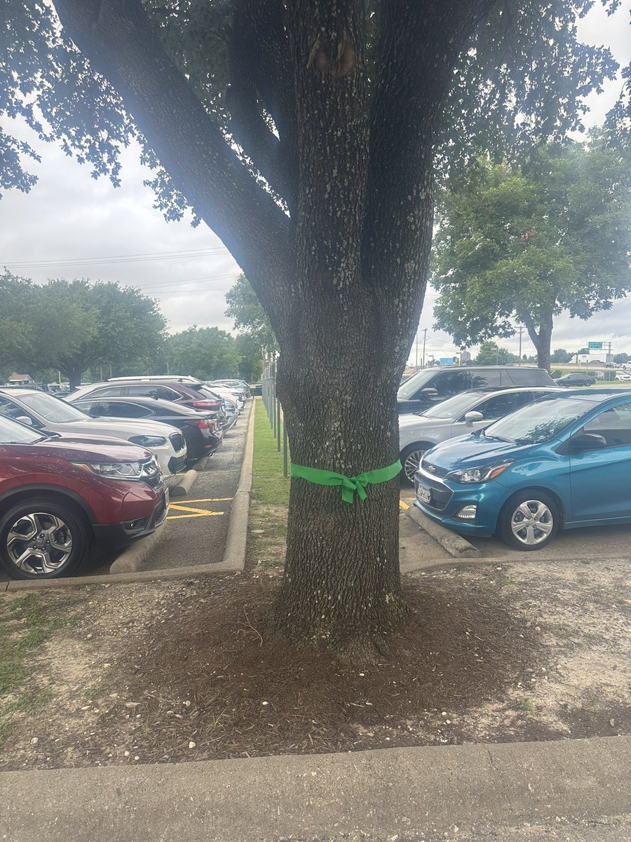 BowersForTexas's tweet image. Arrived at @slcumc today to see a green ribbon in honor and in memory of those lives lost and the grieving families of @Camp_Mystic with love and support to uplfit their spirits 🙏🏽