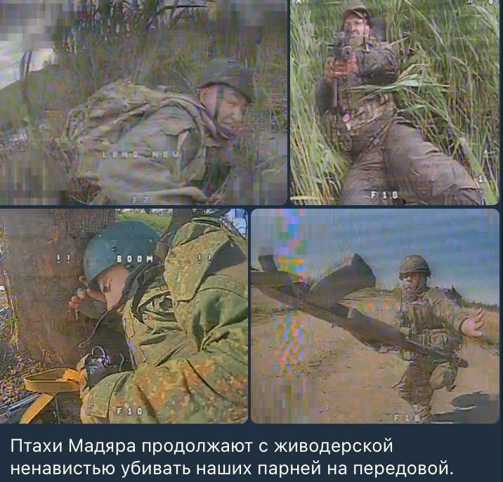 ⚡️"С живодёрской ненавистью", блдь, минусы где???💥🐷🐶💥