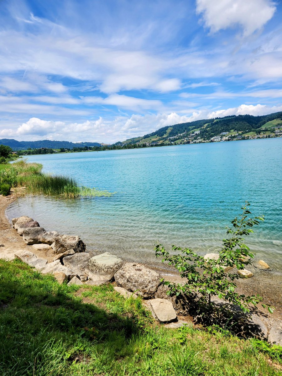 HikingSchweiz's tweet image. A walk around the idyllic Ägerisee in Canton Zug, Switzerland 🇨🇭