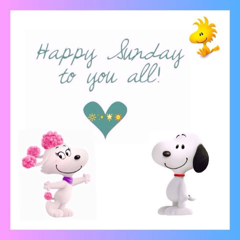 joanie_tweet's tweet image. Good Sunday Morning! ☀️
Make Today Ridiculously Amazing and Make Sure You Take Some Time to Do Something Wonderful for Yourself...
You Deserve it! 😊❤️🤗
#sundayvibes #SundayThoughts