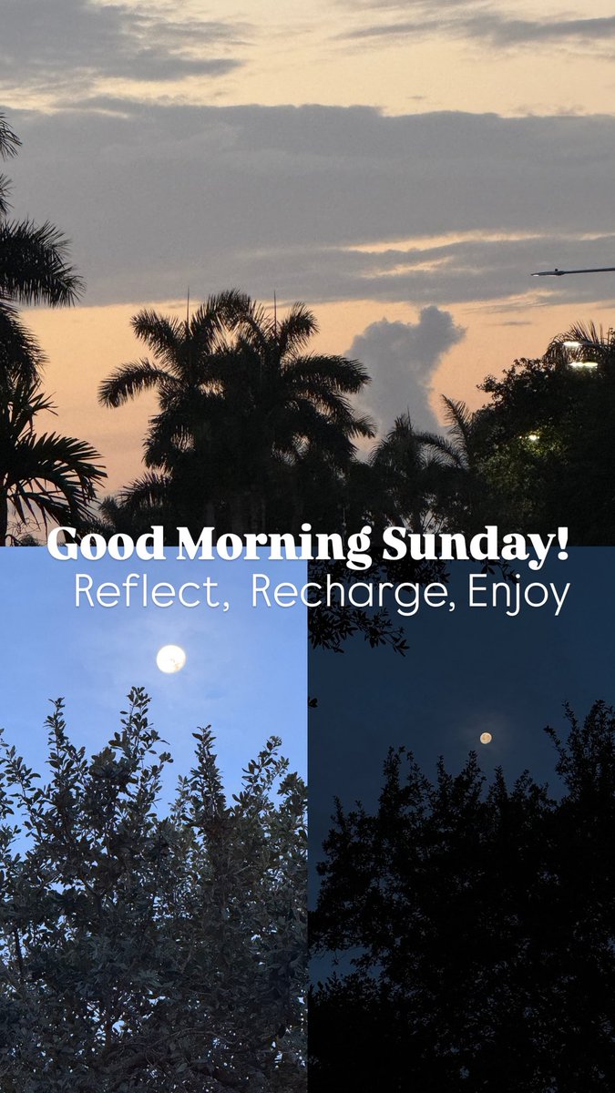 Ana Rojas Matiz (@anarojasmatiz) on Twitter photo 