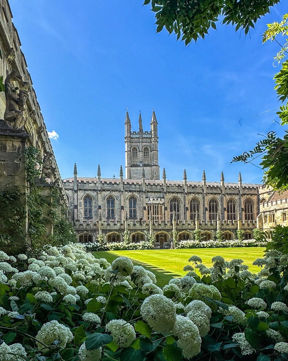 University of Oxford (@uniofoxford) on Twitter photo Hydrangeas at Magdalen 🌷
📷 Instagram | Judy.Martin46 Hydrangeas at Magdalen 🌷
📷 Instagram | Judy.Martin46